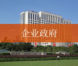 企业政府