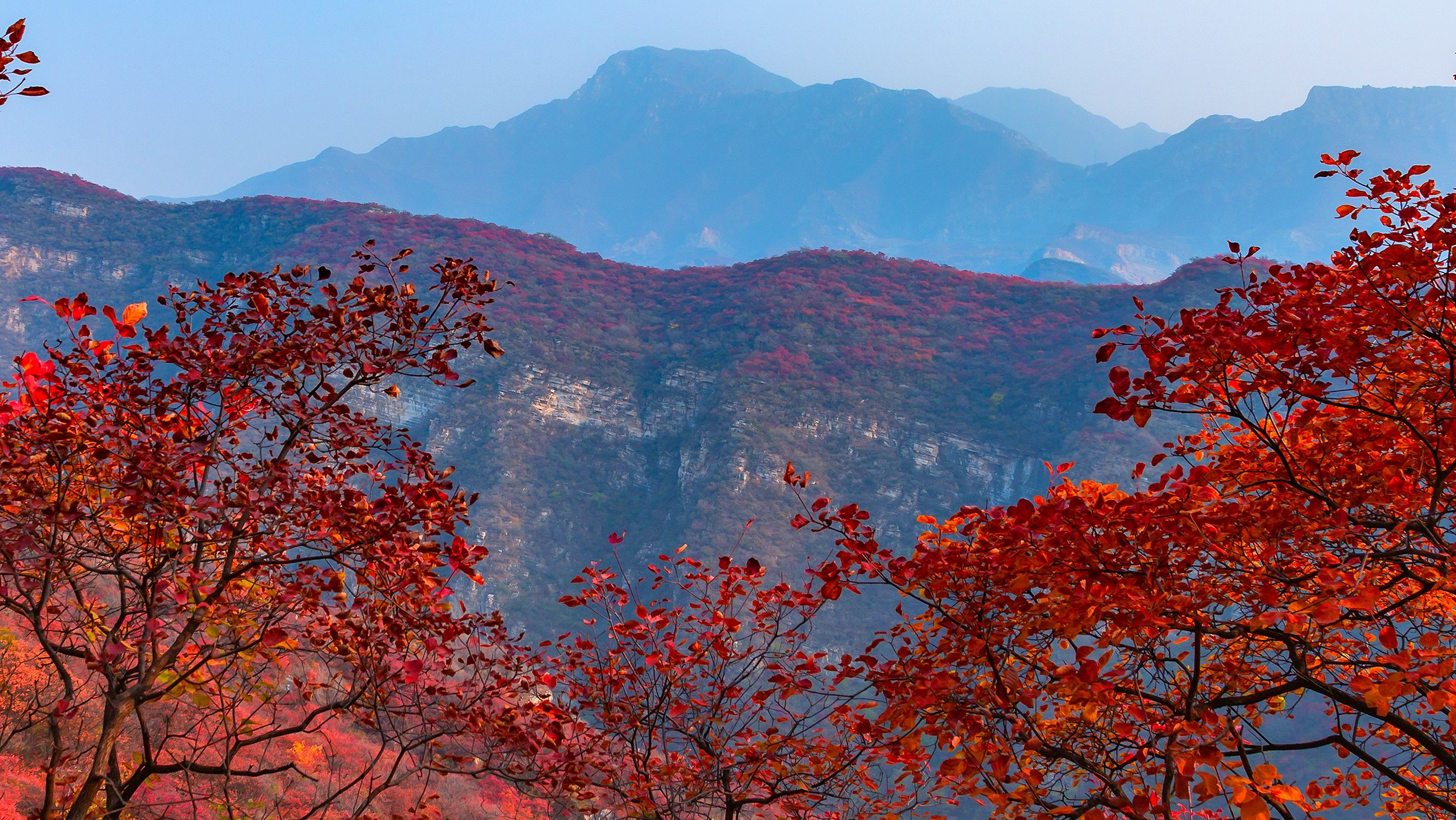 坡峰岭红叶步道金秋智能升级